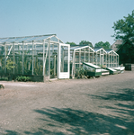 831144 Gezicht op enkele kassen op het terrein van Cactuskwekerij A.N. Bulthuis (Provincialeweg Oost 8) te Cothen.N.B. ...